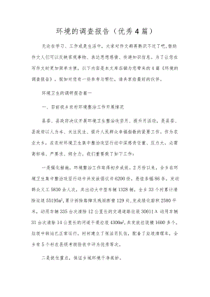 环境的调查报告（优秀4篇）.docx