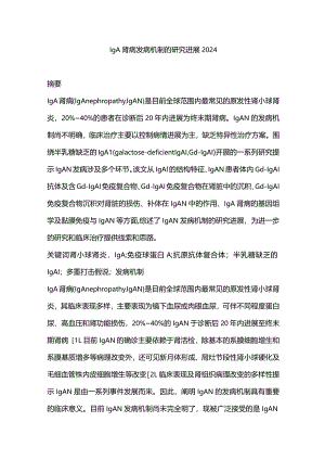 IgA肾病发病机制的研究进展2024.docx