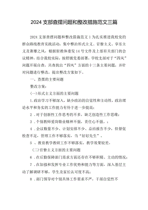 2024支部查摆问题和整改措施范文三篇.docx