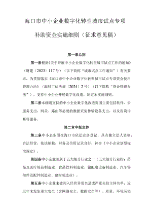 海口市中小企业数字化转型城市试点专项补助资金实施细则（征求意见稿）.docx
