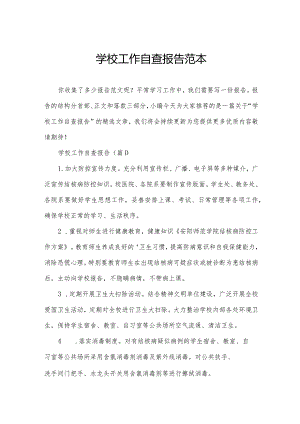学校工作自查报告范本.docx