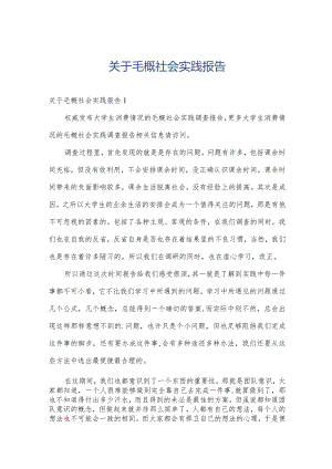 关于毛概社会实践报告.docx