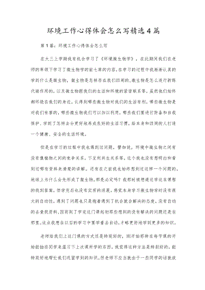 环境工作心得体会怎么写精选4篇.docx