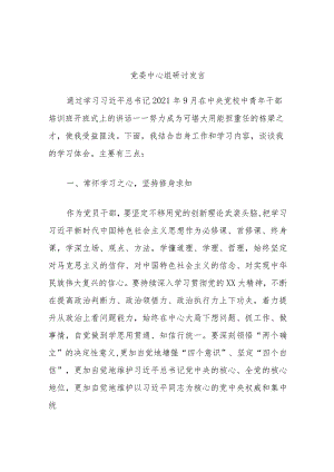 党委中心组研讨发言.docx