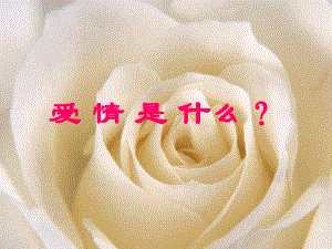 爱情和心理健康1.ppt.ppt