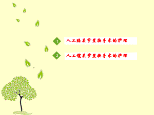 髋膝置换.ppt