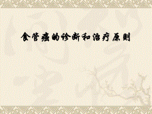 食管癌的诊断和治疗原则.ppt