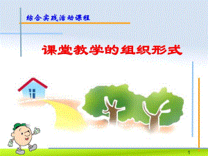 课堂教学的组织形式.ppt