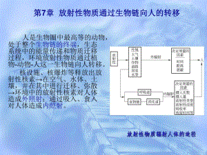 核环境监测与评价 第7章 放射性物质通过生物链向人的转移.ppt