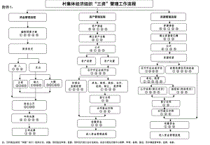 村集体经济组织“三资”管理工作流程.ppt