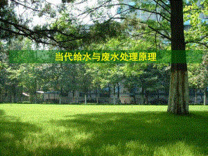 当代给水与废水处理原理化学动力学PPT.ppt