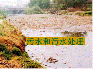 污水和污水处理.ppt