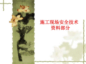 施工现场安全技术资料部分.ppt