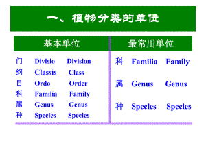 景观植物分类理论.ppt