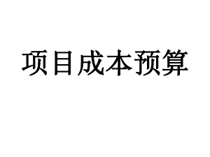 项目成本预算.ppt