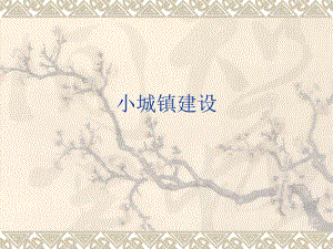 小城镇建设.ppt