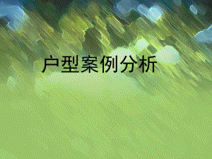 户型案例分析.ppt