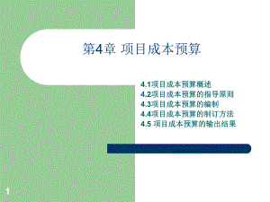项目成本预算.ppt