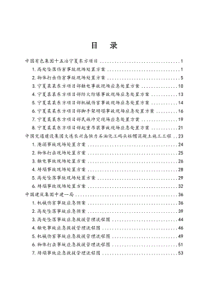 宁夏某硅片切割线项目厂房施工典型事故现场处置方案.doc