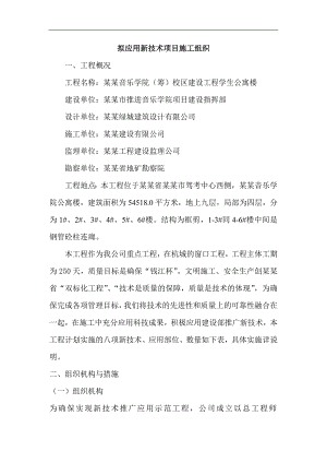 拟应用新技术项目施工方案1.doc