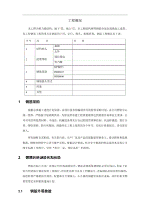 某剪力墙结构钢筋施工方案.doc