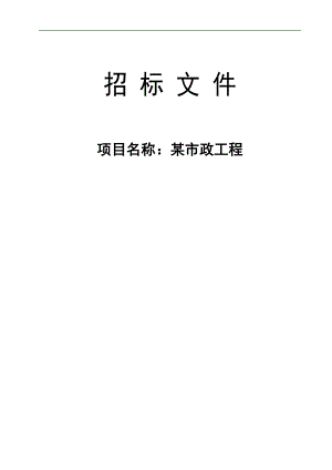 某小区市政施工工程招标文件.doc