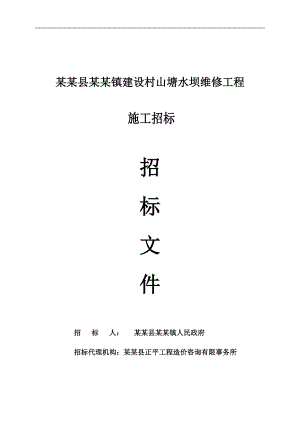 某水坝维修工程施工招标.doc