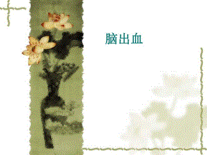 高血压脑出血护理查房（精品PPT） .ppt