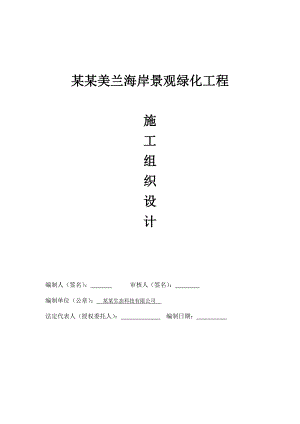 美兰施工组织设计.doc