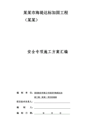 广东某海堤达标加固工程安全专项施工方案.doc