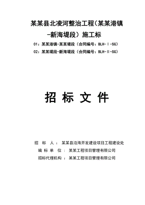 江苏省某河整治工程施工标招标文件.doc