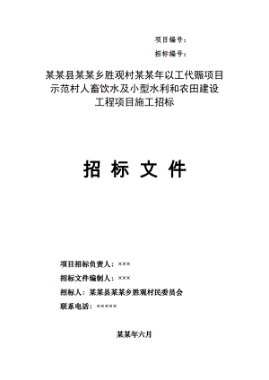 以工代赈项目 示范村人畜饮水及小型水利和农田建设工程项目施工招标.doc