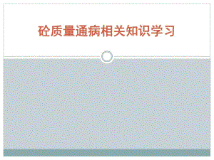 砼质量通病防治.ppt