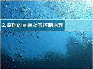 监理的目标及其控制原理讲义.ppt