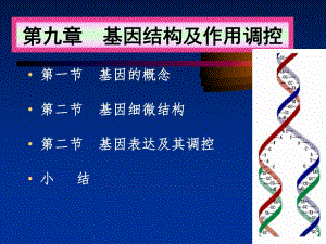 《遗传学》09.基因结构及作用调控(35P).ppt