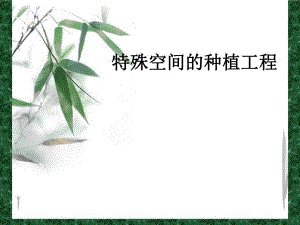 特殊空间绿化.ppt.ppt