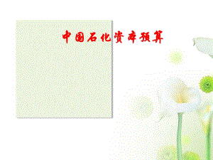 中国石化资本预算案例分析.ppt