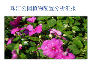 珠江公园植物分析汇报.ppt