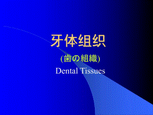 牙体组织.ppt