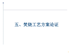 焚烧工艺方案论证.ppt