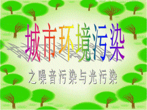 环境评价(噪音污染&光污染).ppt