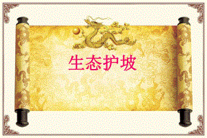 二级公路生态护坡工程施工技术讲解.ppt