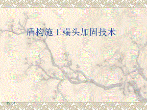 [资料]盾构施工端头加固技巧讲座.ppt
