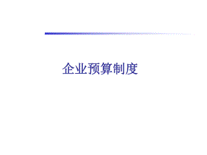 企业预算制度.ppt