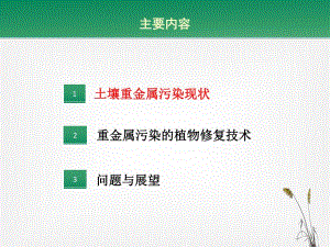 5.5重金属污染植物修复【ppt】 .ppt