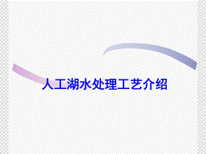 人工湖水处理方案.ppt