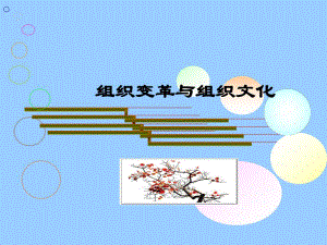 12组织变革和组织文化ppt.ppt