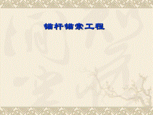 【精品课件】锚杆锚索工程.ppt