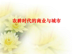 农耕时代的商业与城市.ppt