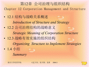 公司治理与组织结构.ppt